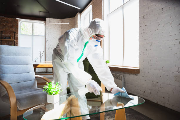 Best Biohazard Mold Removal in USA